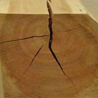 Cracks in timber