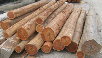 Timber - Poles Example
