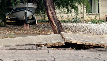Example of Foundation Cracks caused by Trees